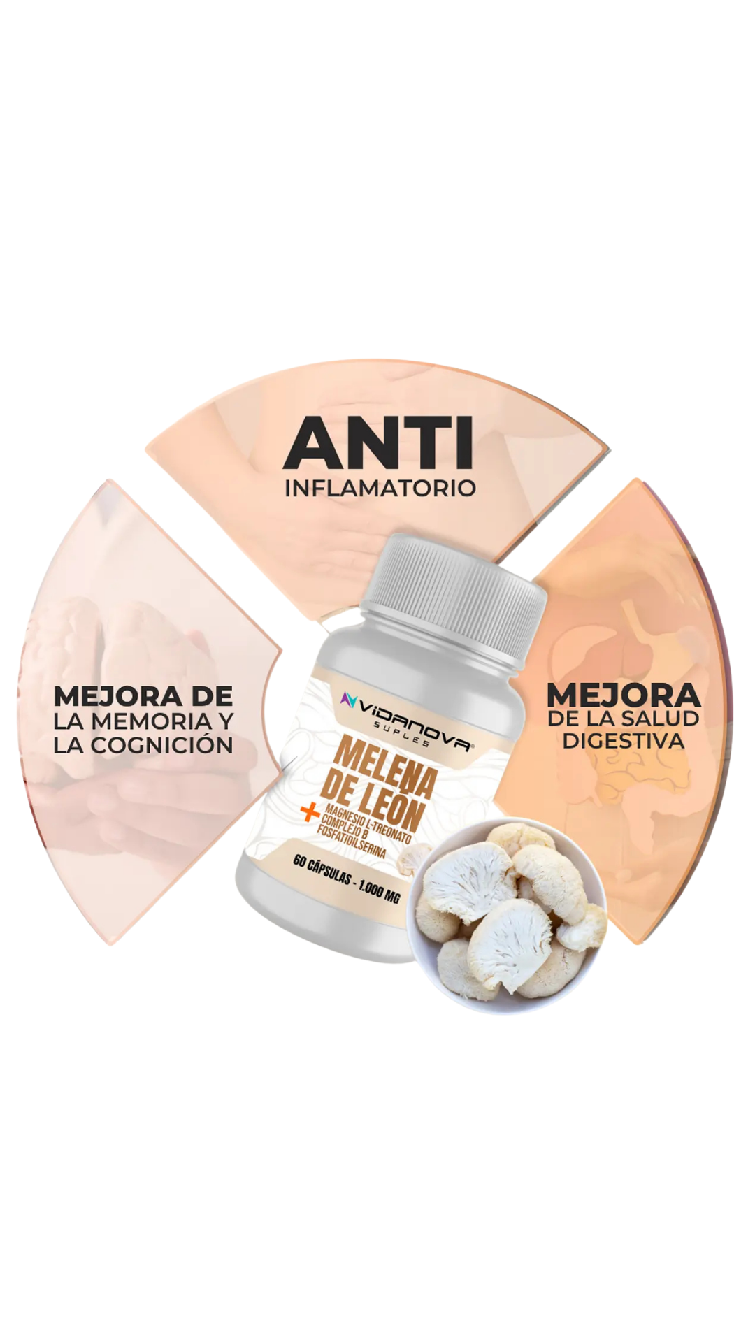 MELENA DE LEÓN – Bienestar Mental y Equilibrio Natural