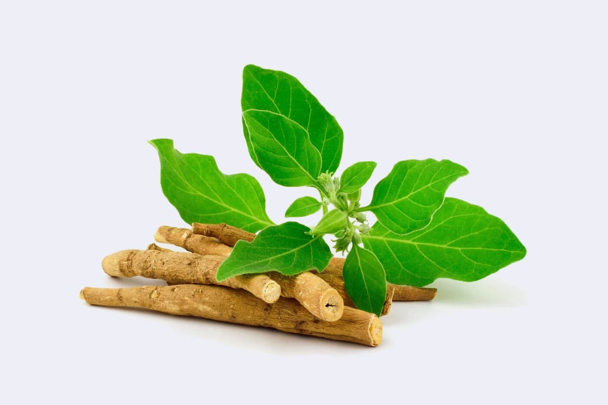 2 por $29.500 / ASHWAGANDHA | 1.000 MG.-